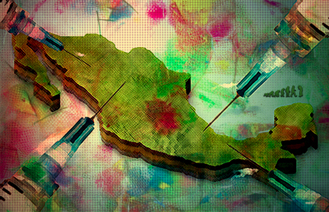 México y los transgénicos