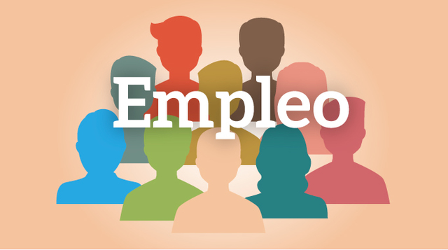 Mi primer empleo