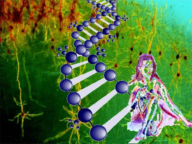 Medio ambiente y genética