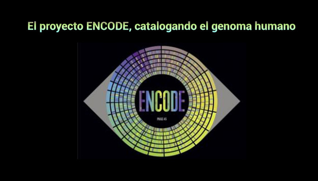 ENCODE