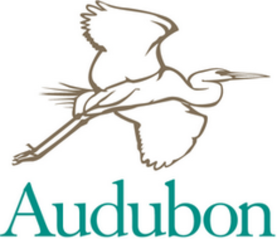 Fundación de la National Audubon Society