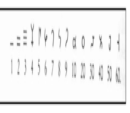 El sistema numérico de los Hindúes (Oriente)