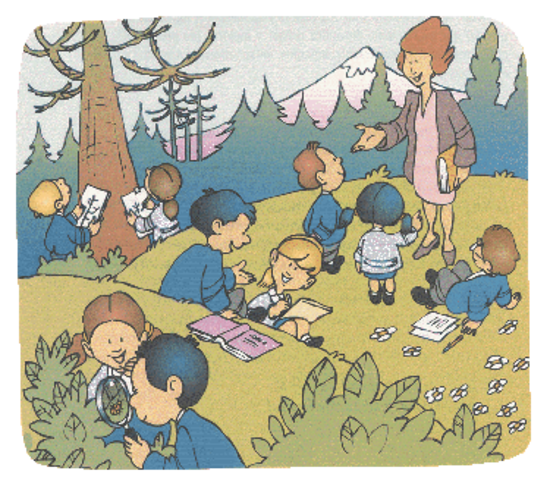 La Pedagogía Concepto