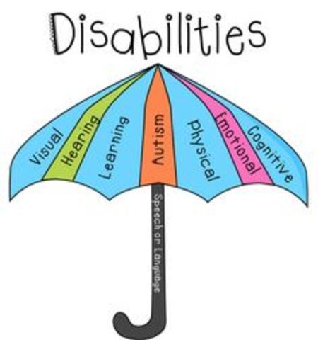 IDEA (individuals with disabilities education act)