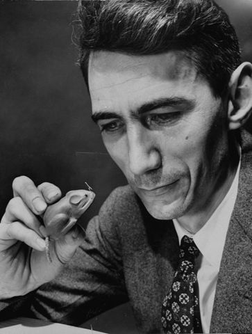 La moderna teoría de la informática