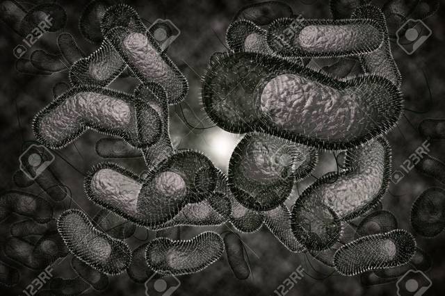 El periodo de John Snow