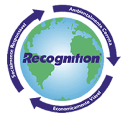 Systems Implementation Analyst