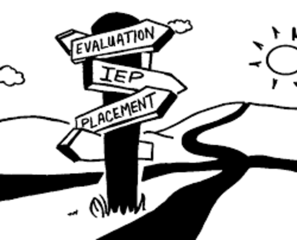 Individuals with Disabilities Education Improvement Act (IDEIA)