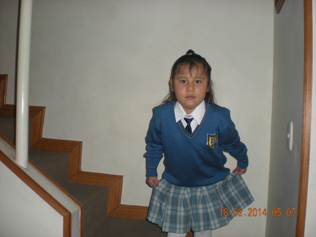 Ingreso a mi querido Liceo Jean de la Fontaine