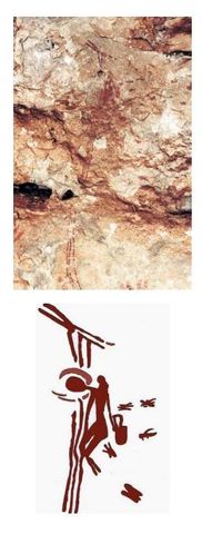 RECOLECCIÓN DE LA MIEL