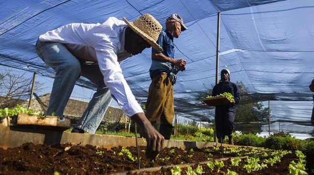 Economía y Valor (Quesnay)