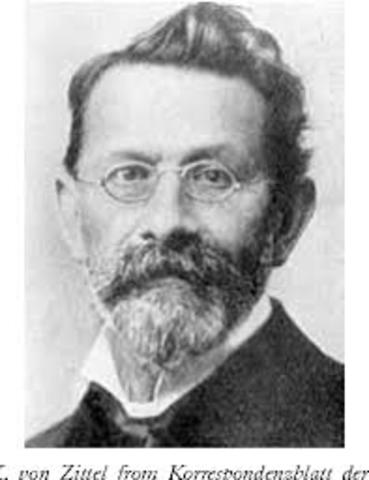 K. von Zittel