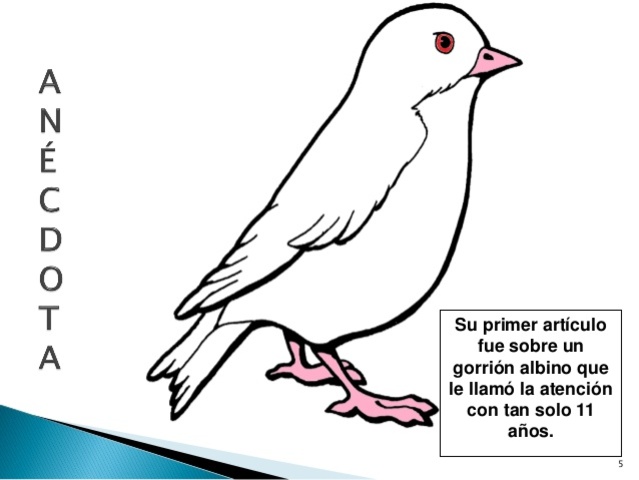 PRIMER ARTÍCULO CIENTÍFICO