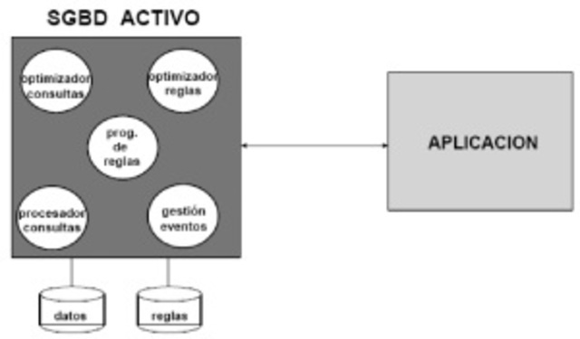 Base de datos activas