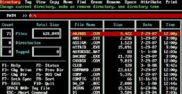 QDOS ("Sistema operativo rápido y sucio")