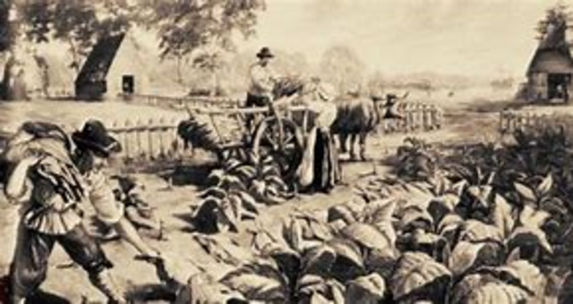 Indentured servitude