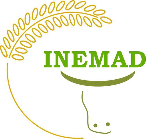 INEMAD