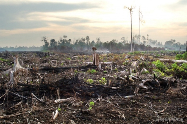 las acciones del ser humano
