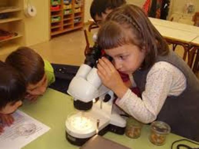 El aprendizaje por descubrimiento