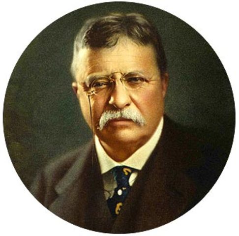 Theodore Roosevelt     1858-1919