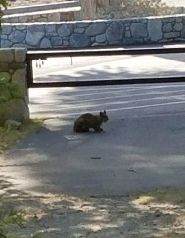Morongo Cabazon Casino • Starbucks
