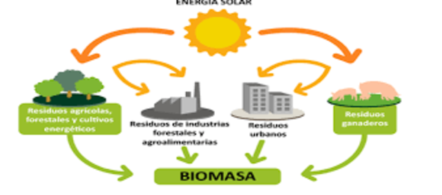 la energía biomasa