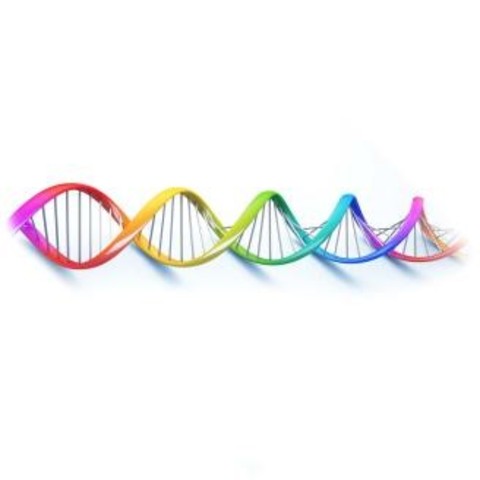 James Dewey Watson y Francis Crick