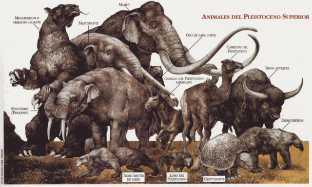 Fauna del Occidente de México