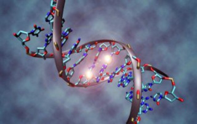 Teoría de la Genética