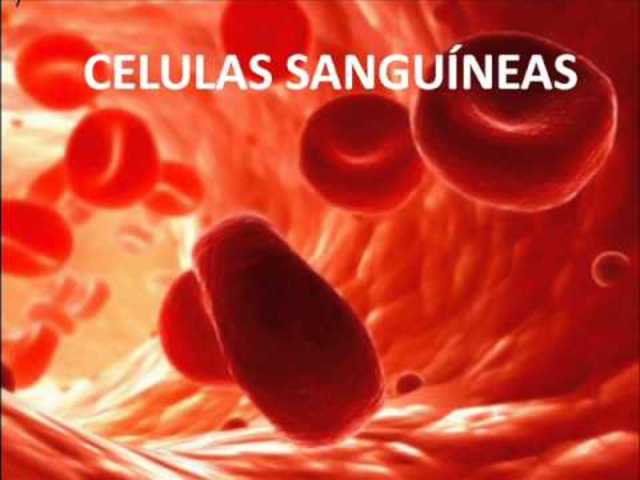 Células sanguíneas