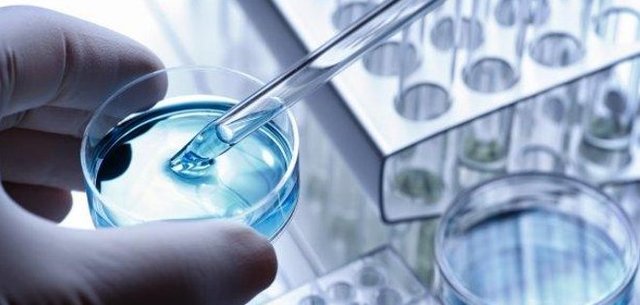 Creación de óvulos