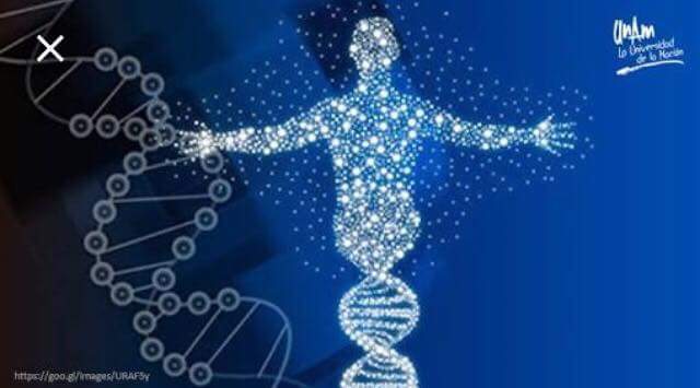 Mapa del genoma humano