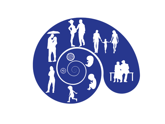 Bioética y responsabilidad social