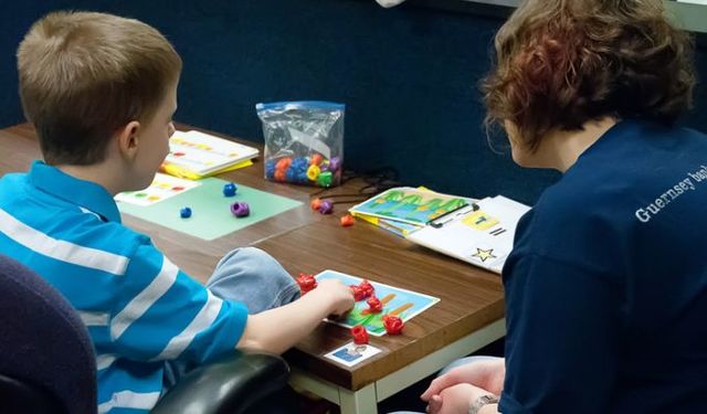 Mills V. Board of Education