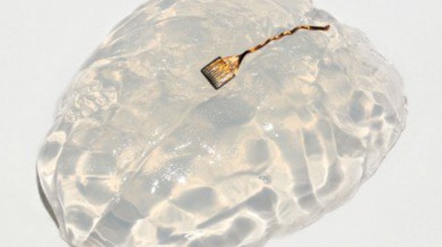 Reversing Paralysis Prototype