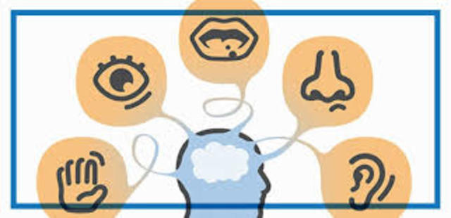 Estilo de aprendizaje