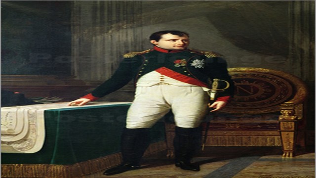 Napoleon Bonaparte (causa externa)
