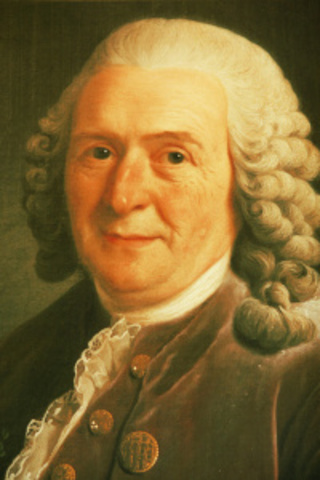 Carl Linneo