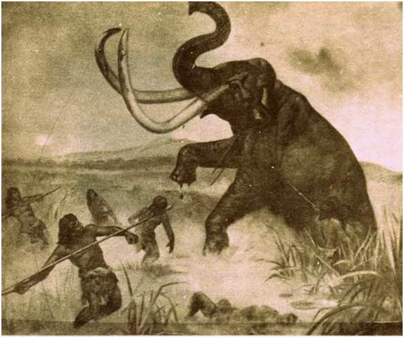 Fauna prehistórica en el occidente de México.