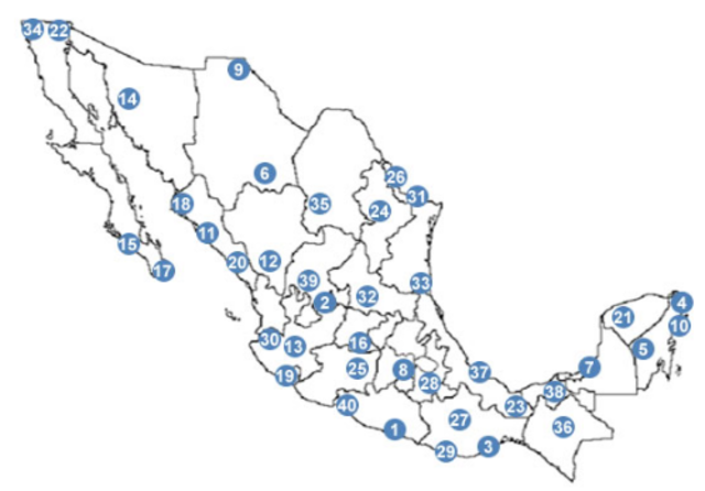 La red de Aeropuertos y Servicios Auxiliares