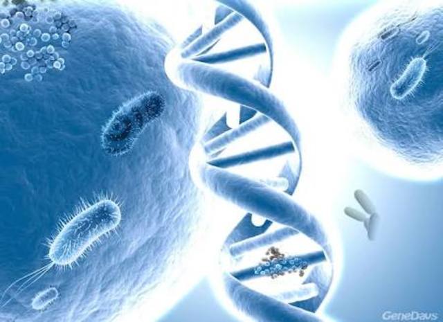 Genomas de bacterias