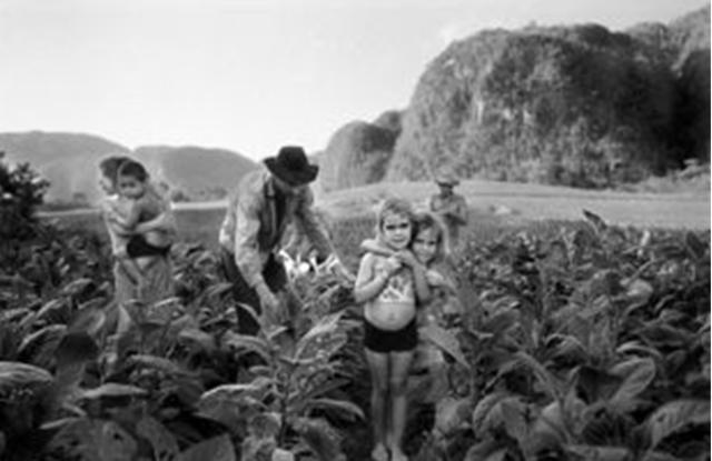 Concentración de la propiedad rural