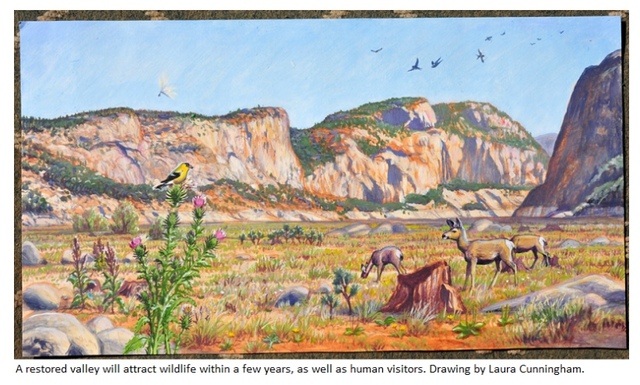 Current state of Hetch Hetchy debate