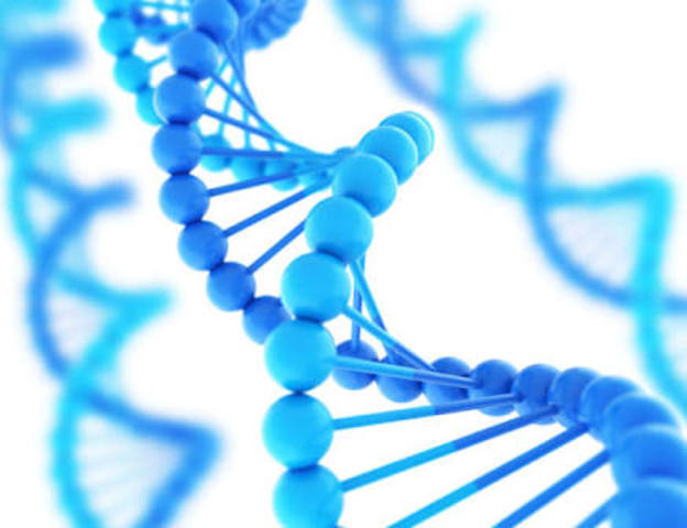 Mapa del genoma humano