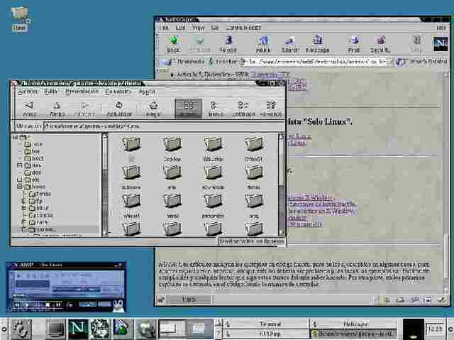 SISTEMA DE VENTANAS ESTÁNDAR X WINDOWS