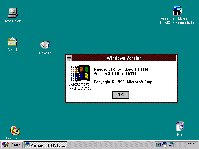 WINDOWS 3X