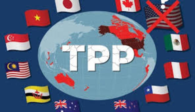 Tratado de Asociación Transpacífico (TPP): Australia, Brunei Darussalam, Canadá, Chile, Estados Unidos, Japón, Malasia, Nueva Zelanda, Perú, Singapur y Vietnam
