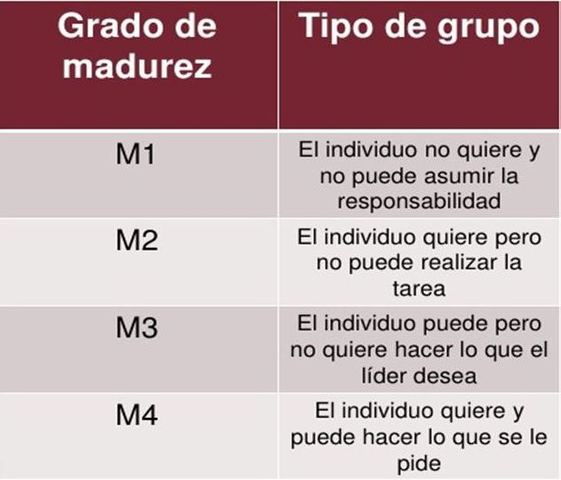 Cuatro niveles de la madurez del seguidor