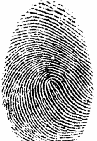The Start of Fingerprints