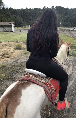 fui a paso de cortes